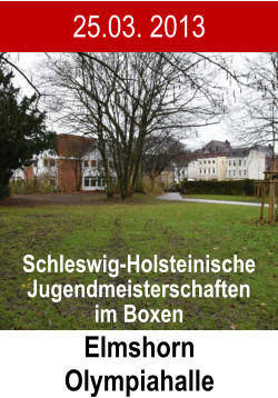 25.03. 2013 Elmshorn Olympiahalle Schleswig-Holsteinische Jugendmeisterschaften im Boxen