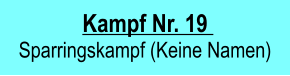 Kampf Nr. 19   Sparringskampf (Keine Namen)